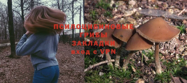 бутират Гусев