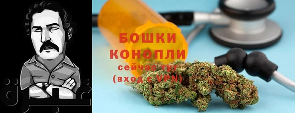 дурь Гусь-Хрустальный