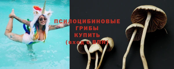 дурь Гусь-Хрустальный