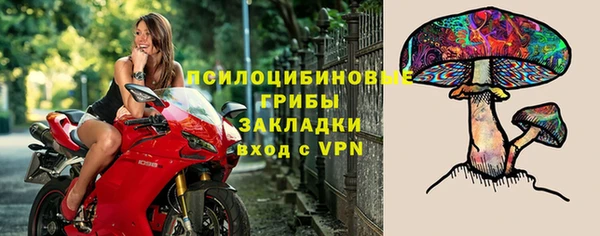 дурь Гусь-Хрустальный