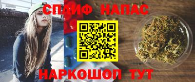 стаф Бузулук
