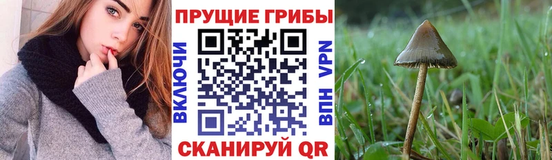 Псилоцибиновые грибы ЛСД  KRAKEN рабочий сайт  Ижевск 