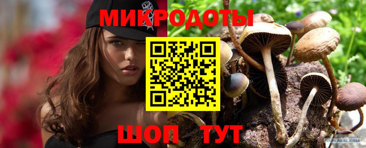 Псилоцибиновые грибы Psilocybe Ижевск