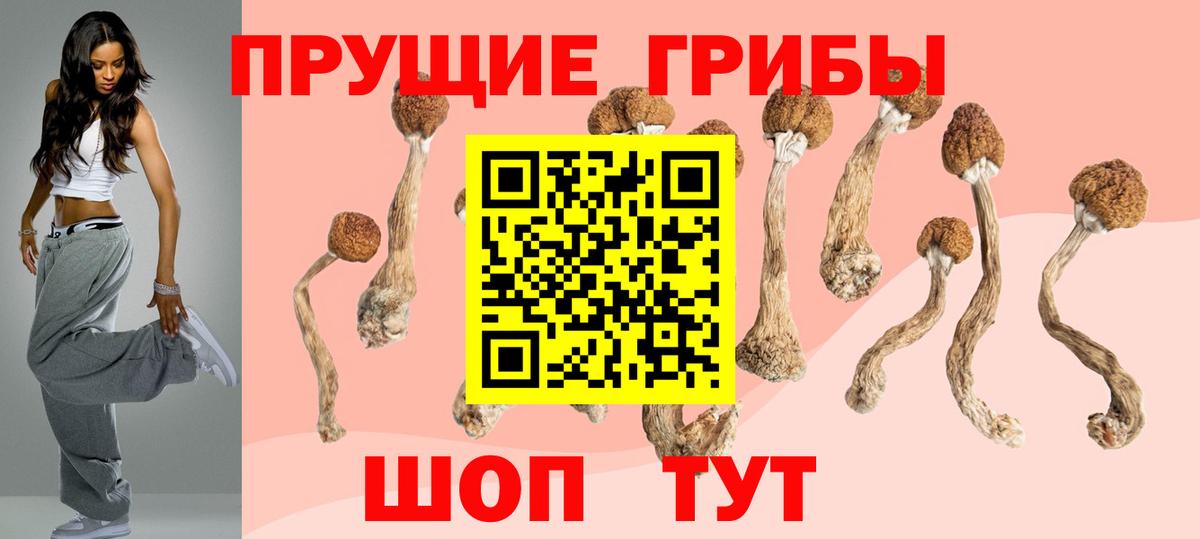 Ижевск  закладки  Вход с VPN  Галлюциногенные грибы Cubensis 